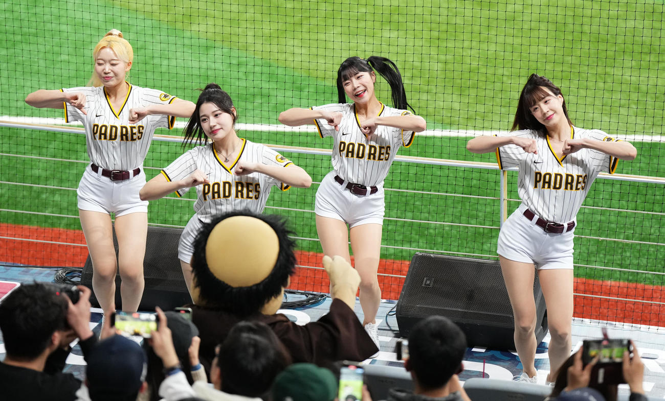 パドレス対韓国　スタンドを盛り上げるパドレスチア（撮影・菅敏）