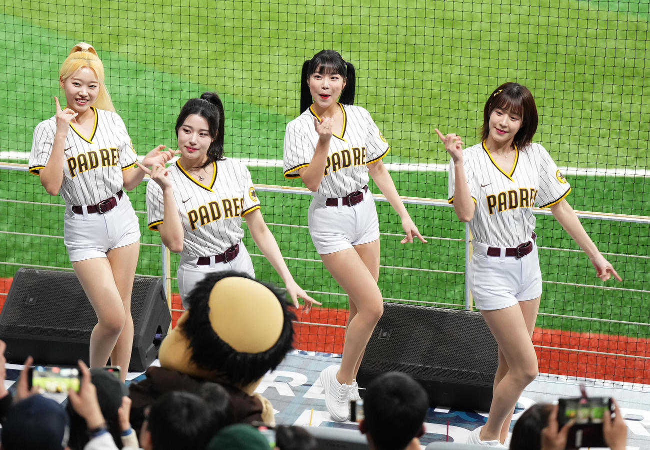 パドレス対韓国　スタンドを盛り上げるパドレスチア（撮影・菅敏）