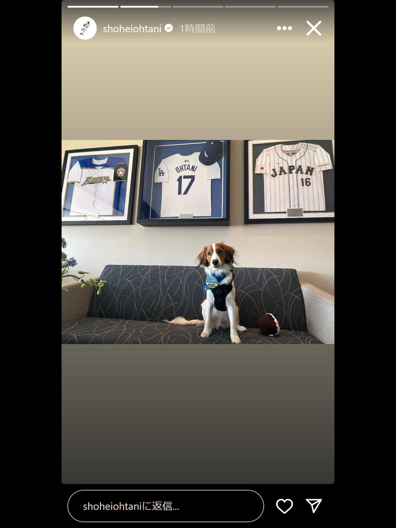 大谷翔平のインスタグラムのストーリーズから