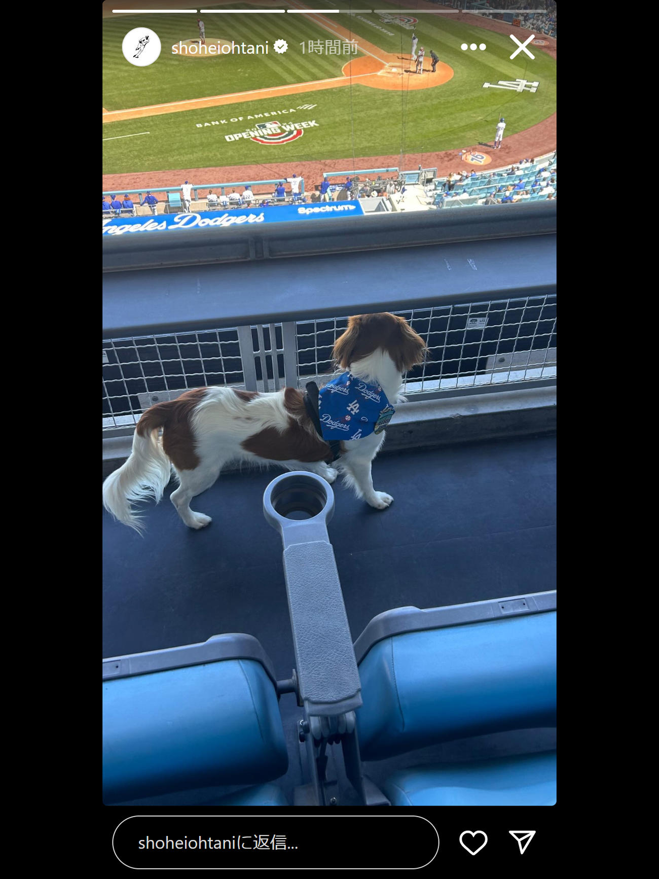 大谷翔平のインスタグラムのストーリーズから