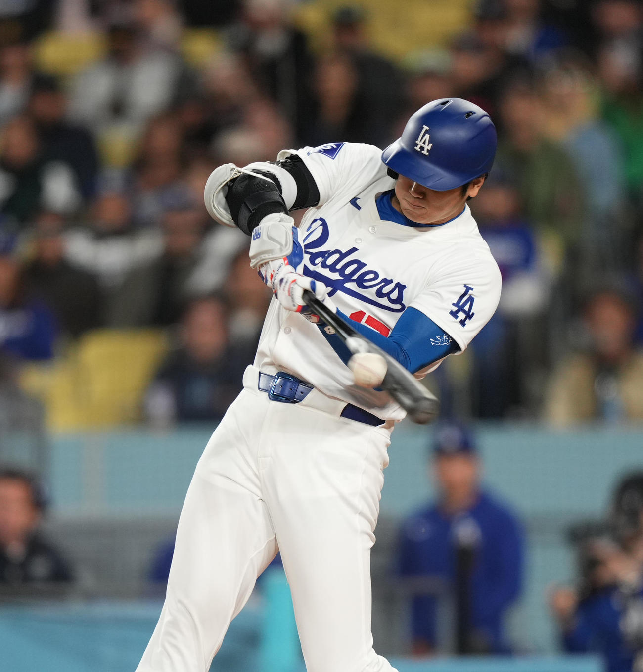 ドジャース対パドレス　2回裏ドジャー2死、中飛に倒れる大谷（撮影・菅敏）