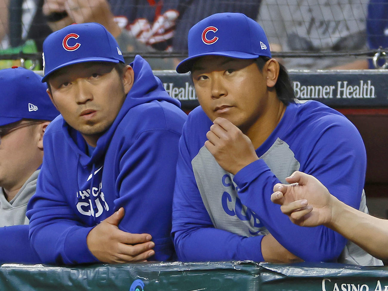 ダイヤモンドバックス戦のベンチで試合を見守るカブス鈴木。右脇腹の張りで負傷者リスト入りした。右は今永（共同）