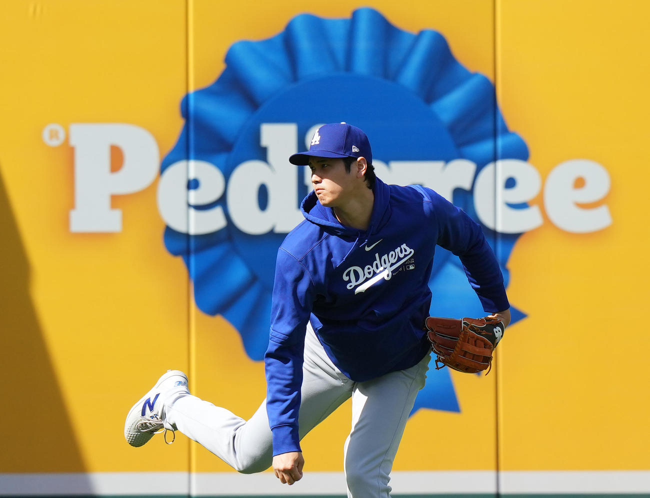 ナショナルズ対ドジャース　キャッチボールで調整するドジャース大谷（撮影・菅敏）