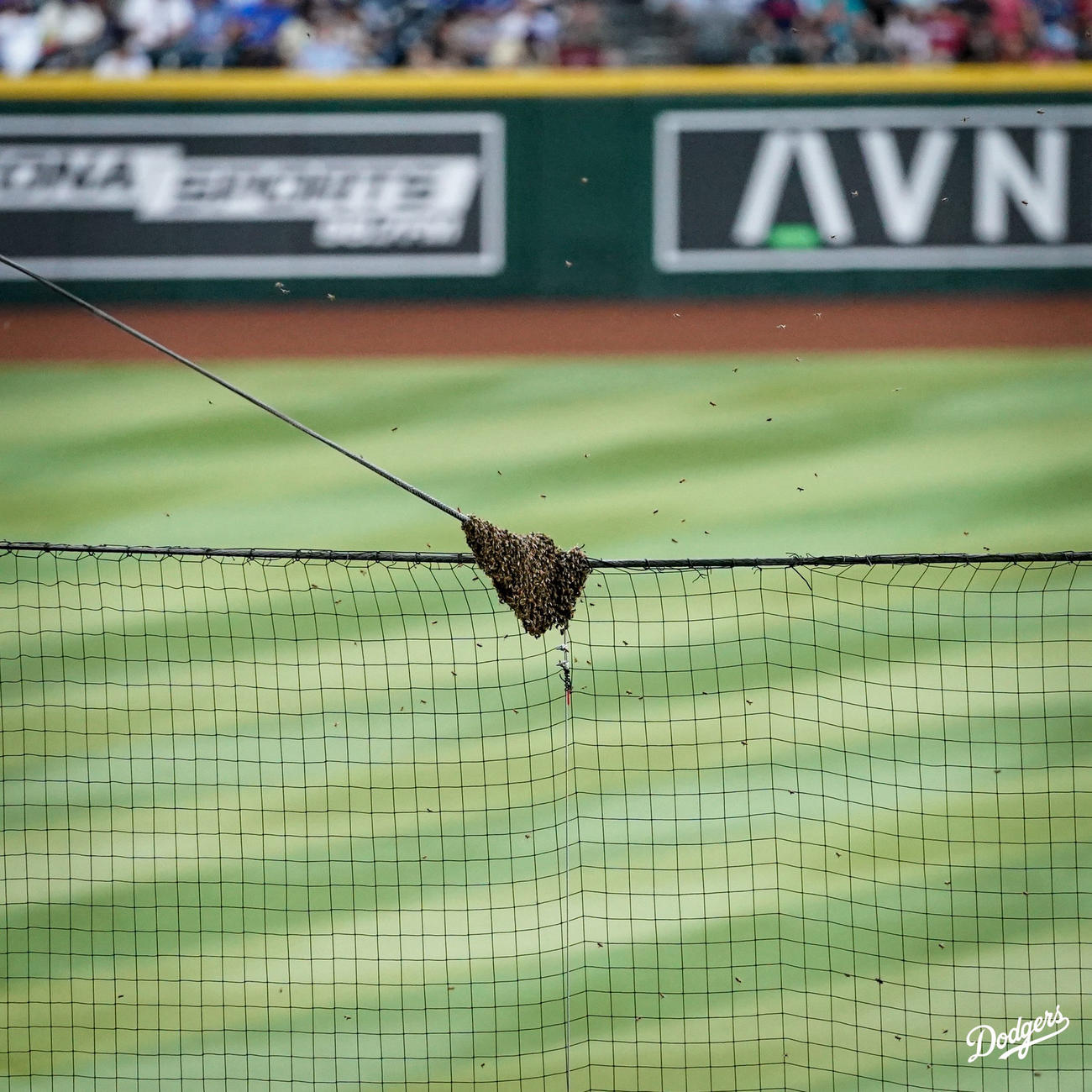 ドジャースのXから