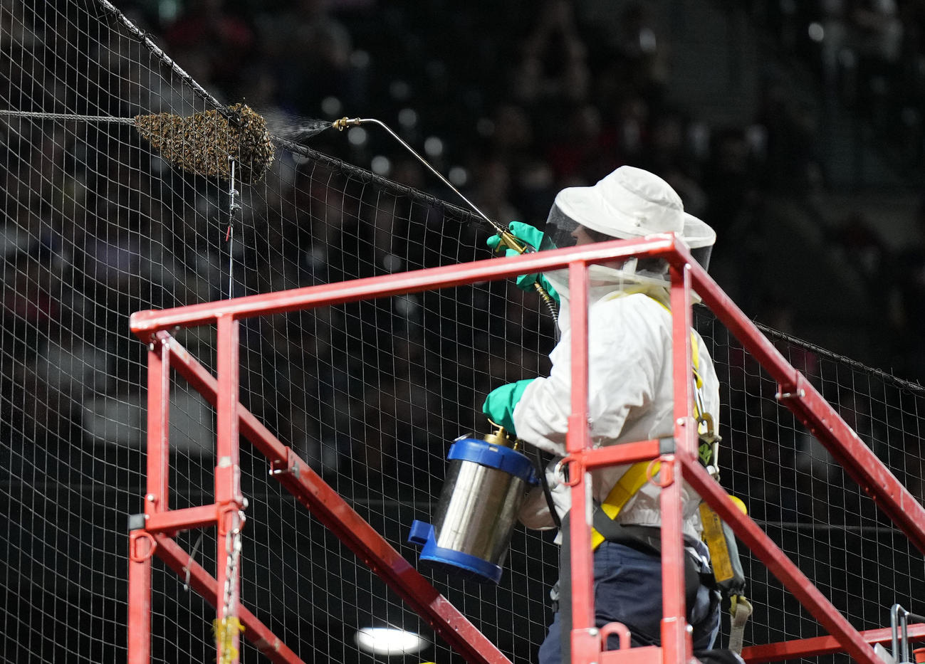 ダイヤモンドバックス対ドジャース　試合開始直前、バックネット上のハチの大群を駆除するマット・ヒルトンさん（撮影・菅敏）