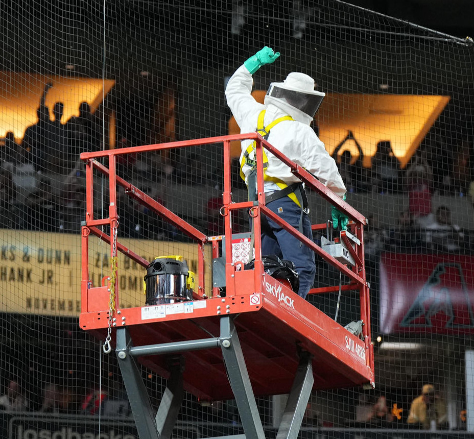 ダイヤモンドバックス対ドジャース　試合開始直前、バックネット上に群がるハチを駆除し、ガッツポーズを見せるマット・ヒルトンさん（撮影・菅敏）