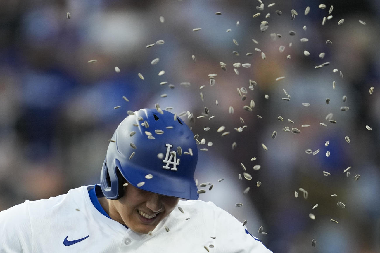 ドジャース対マーリンズ　1回裏ドジャース無死一塁、中越えに11号2点本塁打を放ちひまわりの種を浴びる大谷（AP）