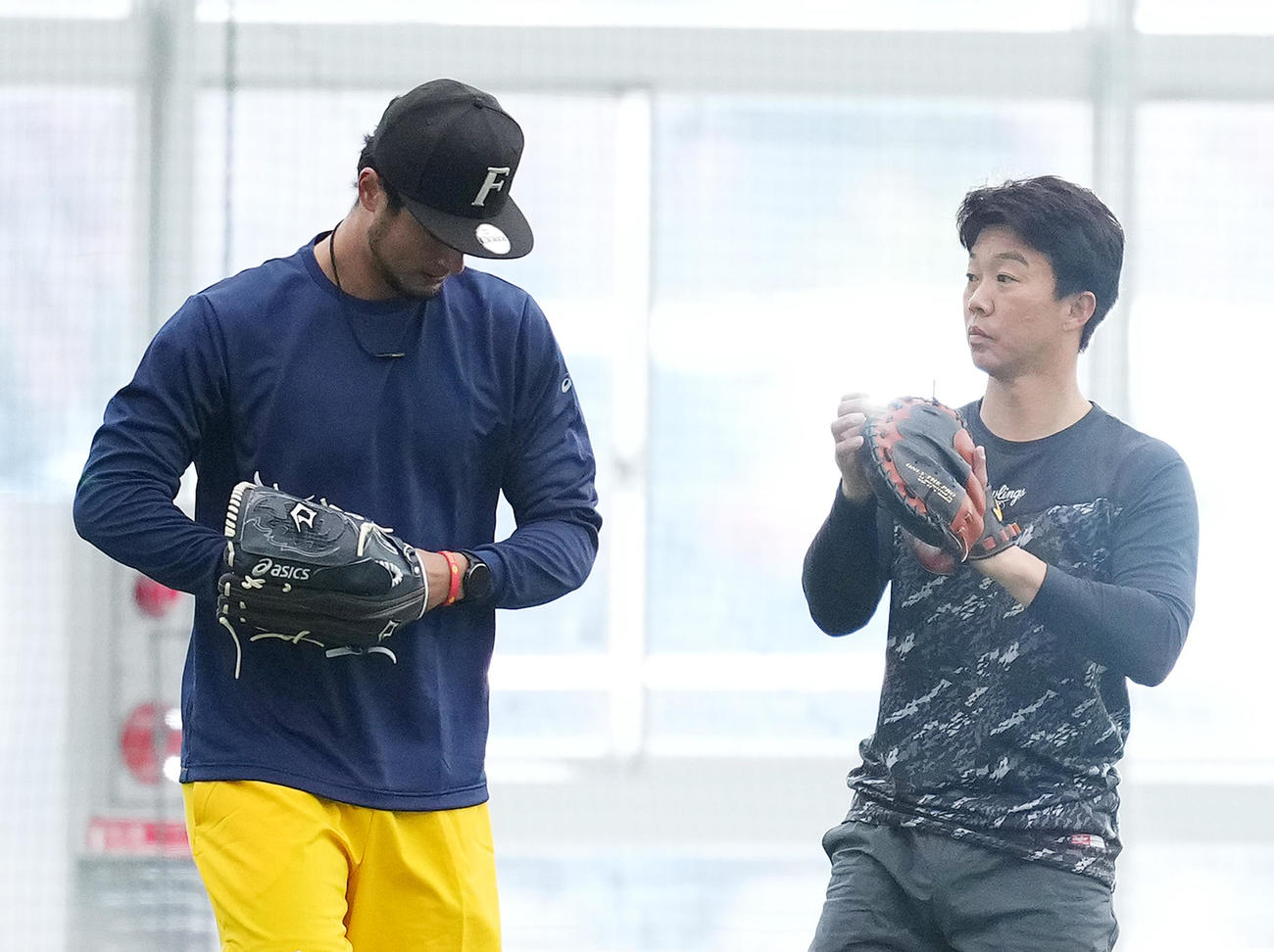 WBC日本代表合宿前日練習　元日本ハムの鶴岡氏（右）とキャッチボールをするダルビッシュ（2023年2月16日撮影）