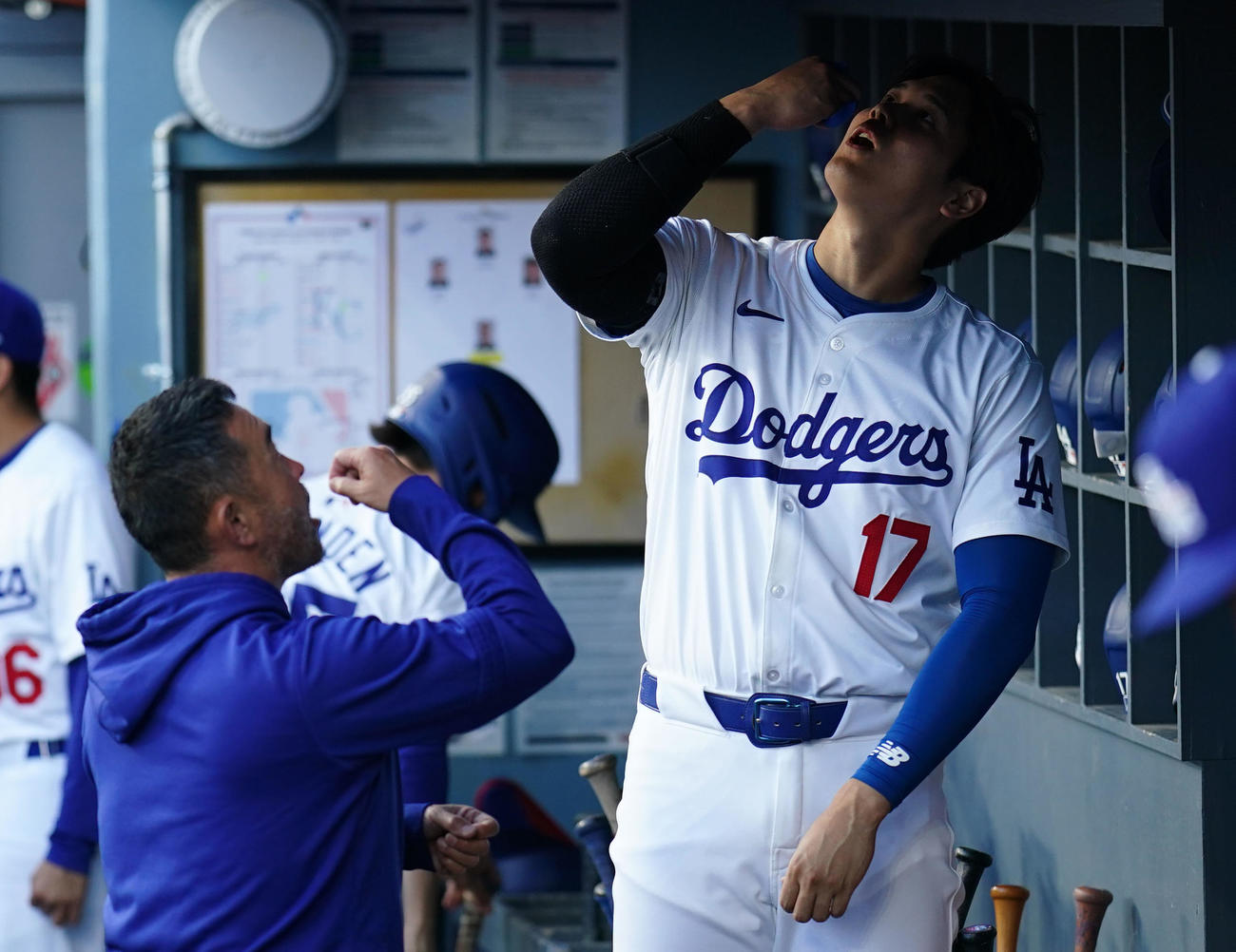 ドジャース対ロイヤルズ　試合前、何かを混ぜて飲み込むパフォーマンスをするドジャース大谷（撮影・横山健太）