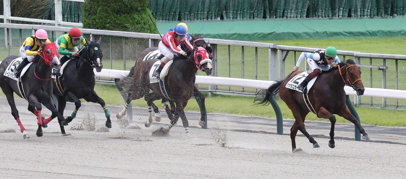 東京3R、3歳未勝利戦を制したオオタニサーンと三浦騎手（右）（撮影・丹羽敏通）