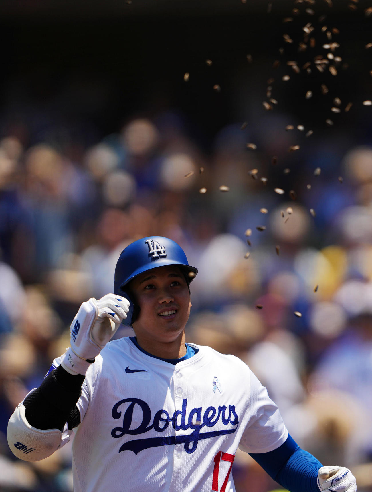 ドジャース対ロイヤルズ　3回裏ドジャース1死、左中間へ本塁打を放ちひまわりシャワーを浴びる大谷（撮影・横山健太）