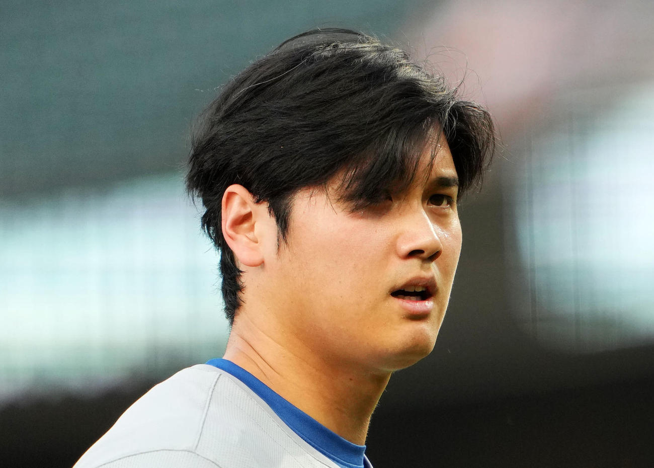 ドジャース大谷翔平（2024年6月撮影）