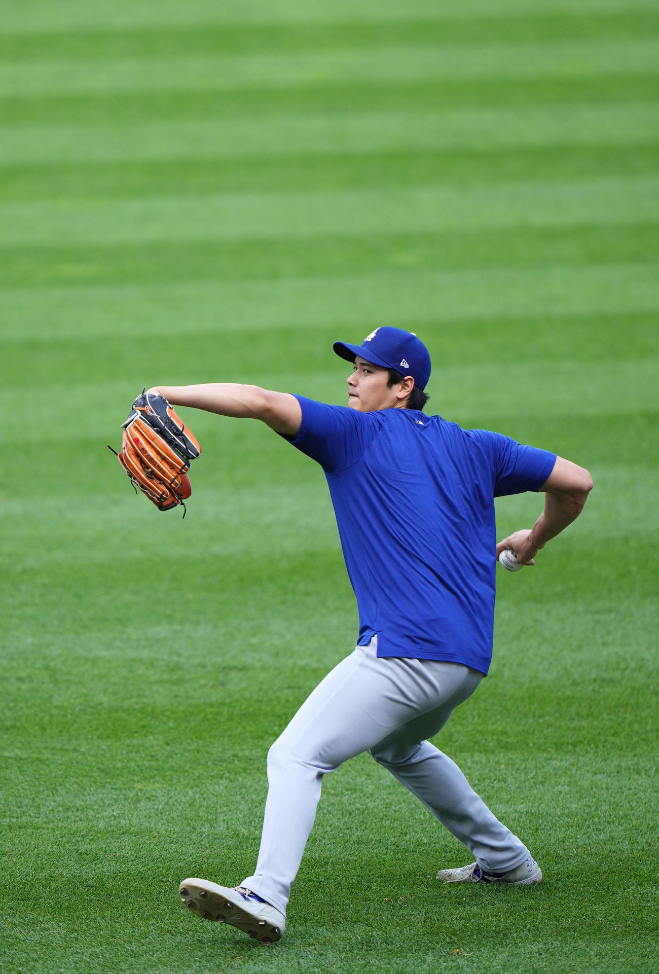 ホワイトソックス対ドジャース　キャッチボールをするするドジャース大谷（撮影・横山健太）