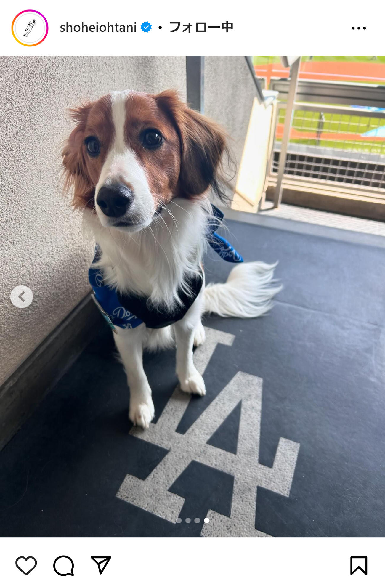 大谷翔平のインスタグラムから