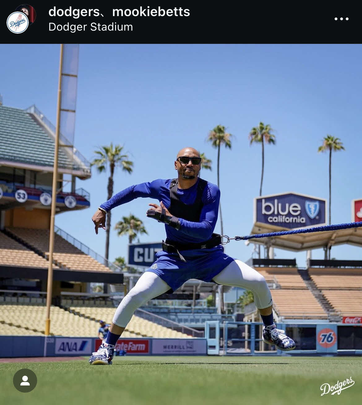 ベッツのインスタグラムから