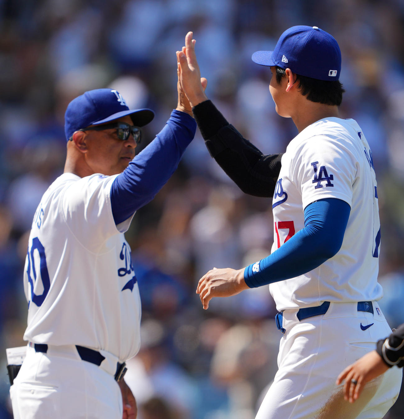 ドジャース対ジャイアンツ　ジャイアンツに勝利しロバーツ監督（左）とタッチを交わすドジャース大谷（撮影・横山健太）
