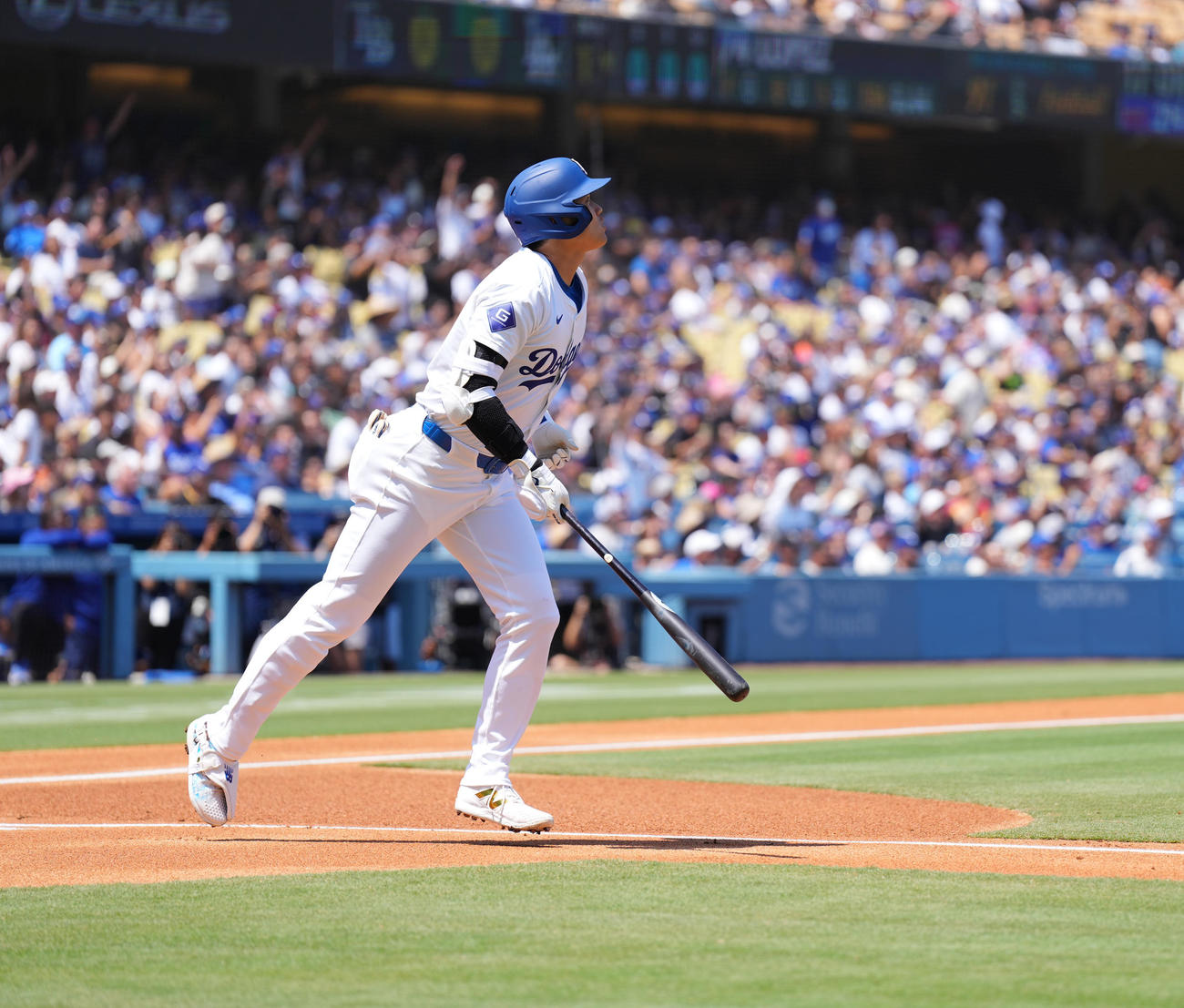 ドジャース対レイズ　1回裏ドジャース無死、右飛に倒れる大谷（撮影・菅敏）