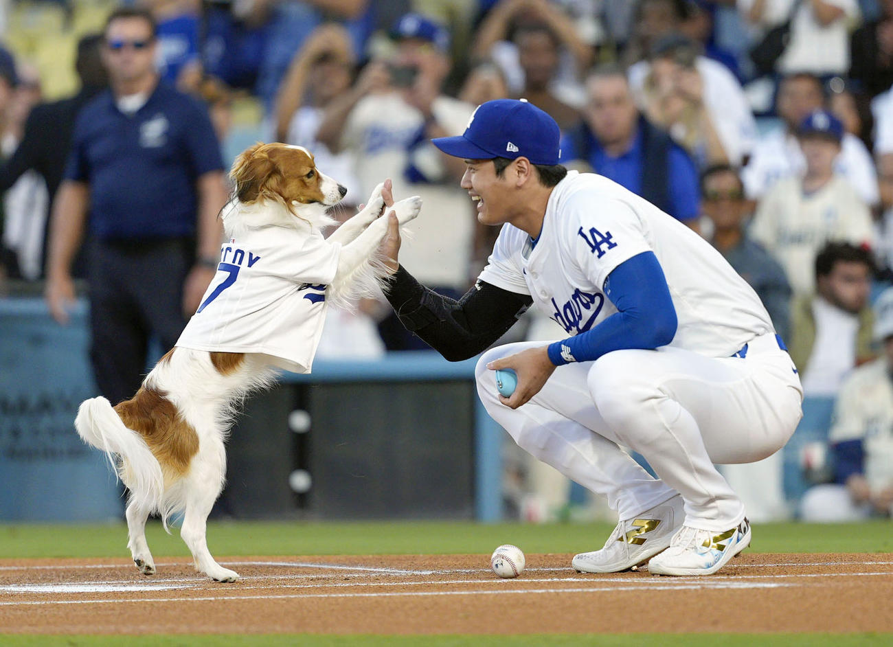 オリオールズ戦で“始球式”を行うドジャース大谷（右）の愛犬デコピン（共同）