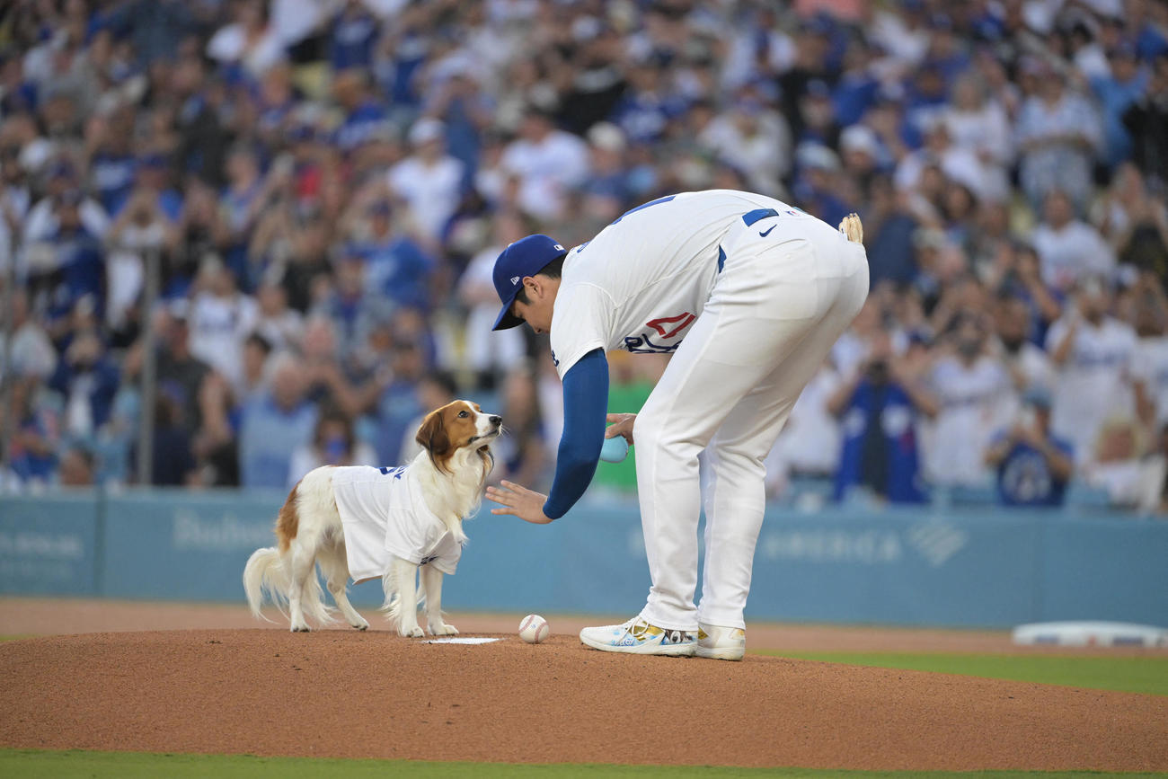 ドジャース対オリオールズ　始球式で愛犬デコピンに指示を出す大谷（USA TODAY Sports＝ロイター）