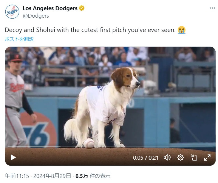 始球式に登場した大谷の愛犬デコピン（ドジャースの公式Xから）