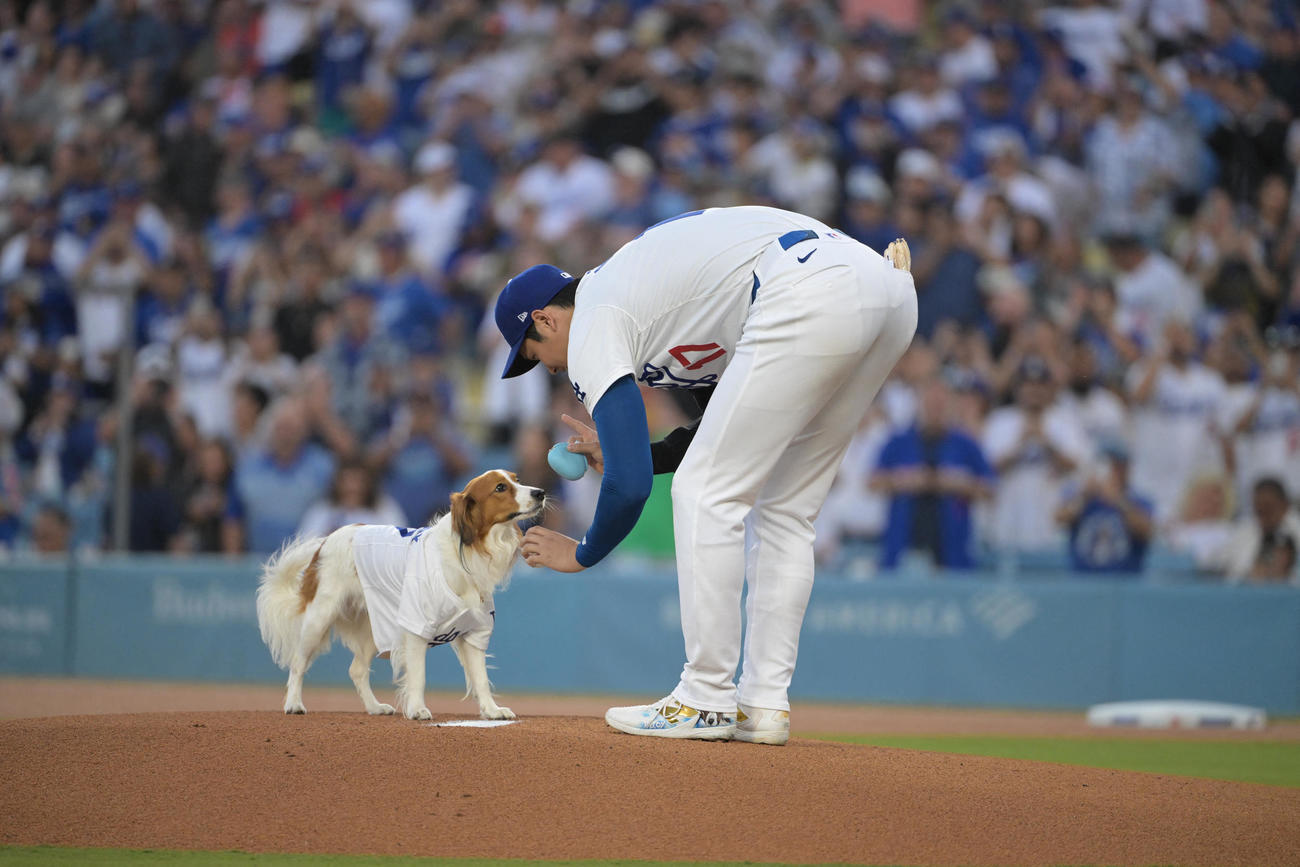 ドジャース対オリオールズ　始球式で愛犬デコピンに指示を出す大谷（USA TODAY Sports＝ロイター）