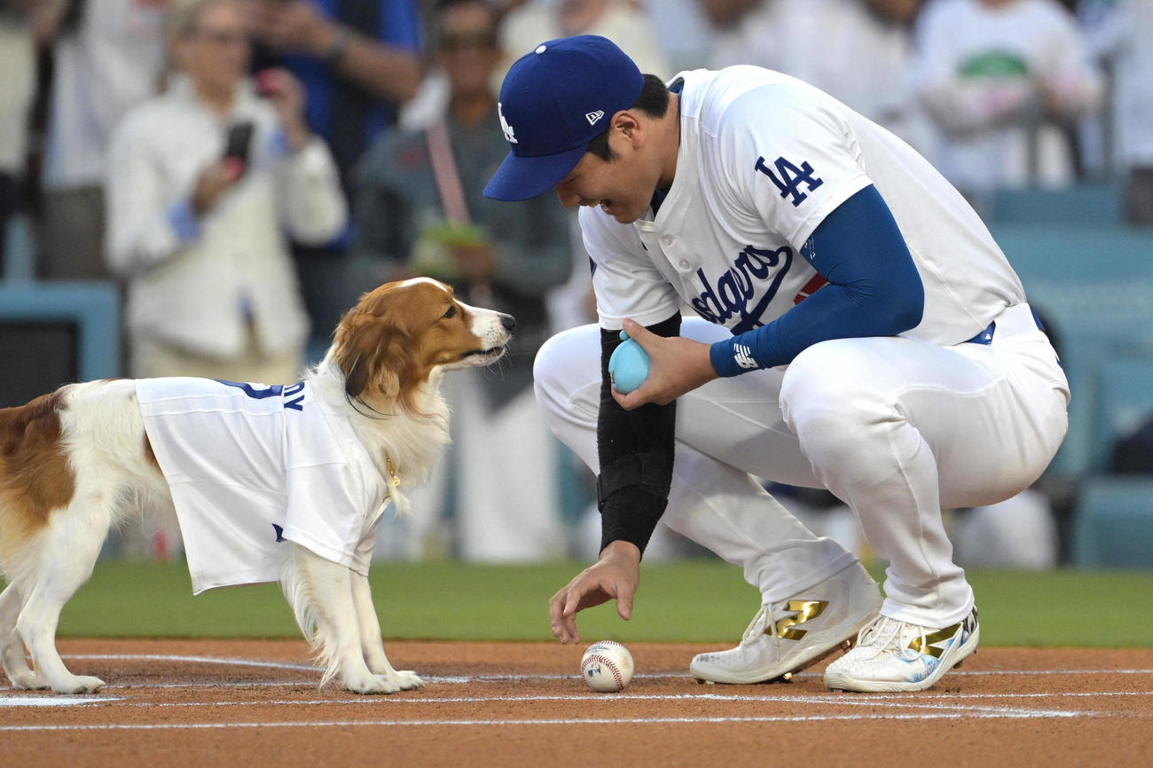 ドジャース対オリオールズ　始球式で愛犬デコピンの前にボールを置き、指示を出す大谷（USA TODAY Sports＝ロイター）