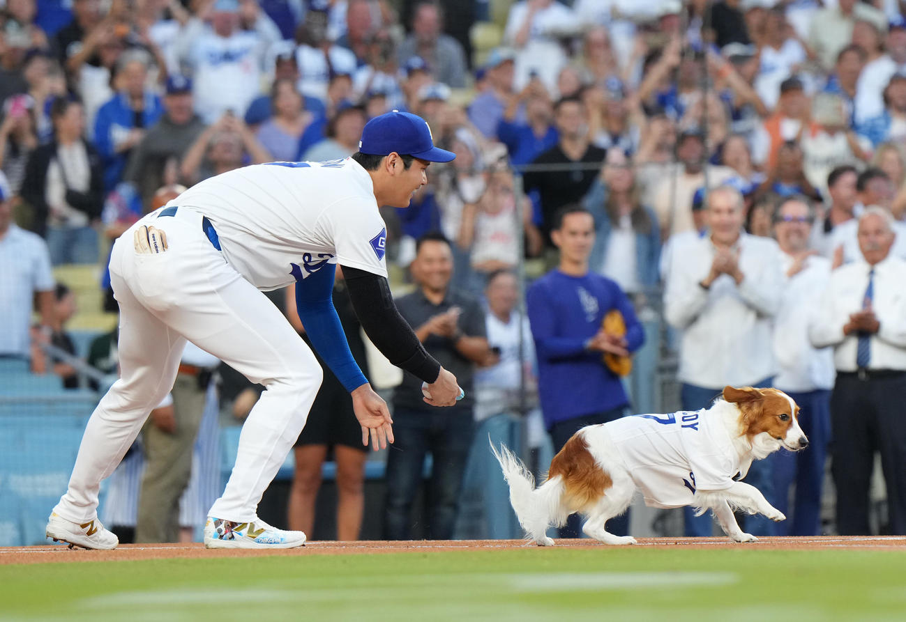 ドジャース対オリオールズ　始球式を務めた愛犬デコピンを追いかける大谷（撮影・菅敏）