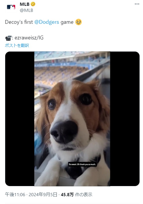 MLB公式Xのトップに固定されたデコピンの動画