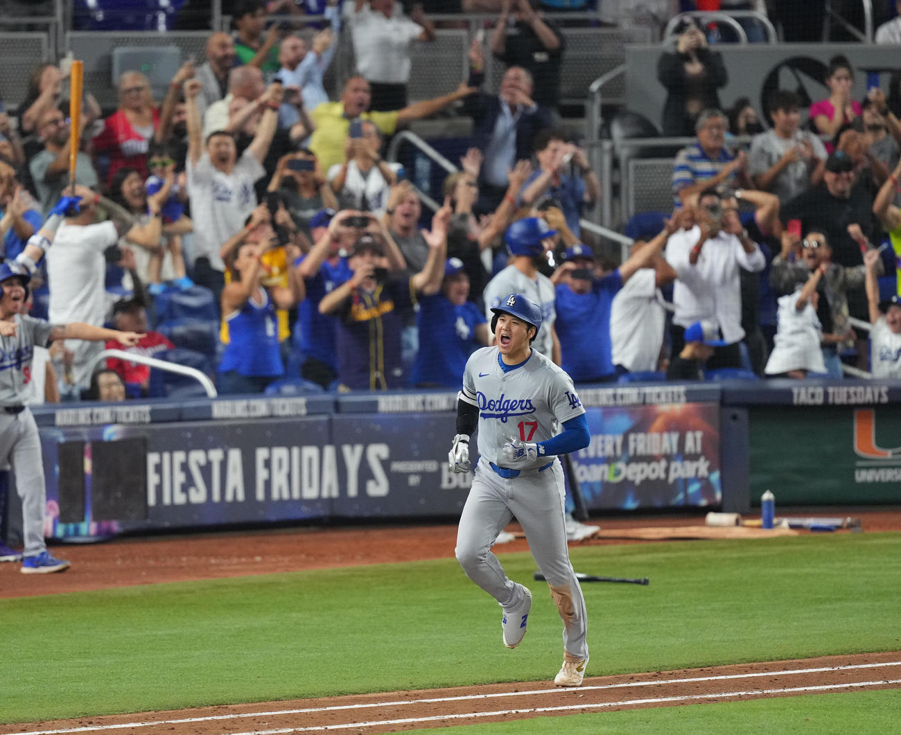 マーリンズ対ドジャース　7回表ドジャース2死三塁、50号2点本塁打を放ち、雄たけびを上げる大谷（撮影・菅敏）
