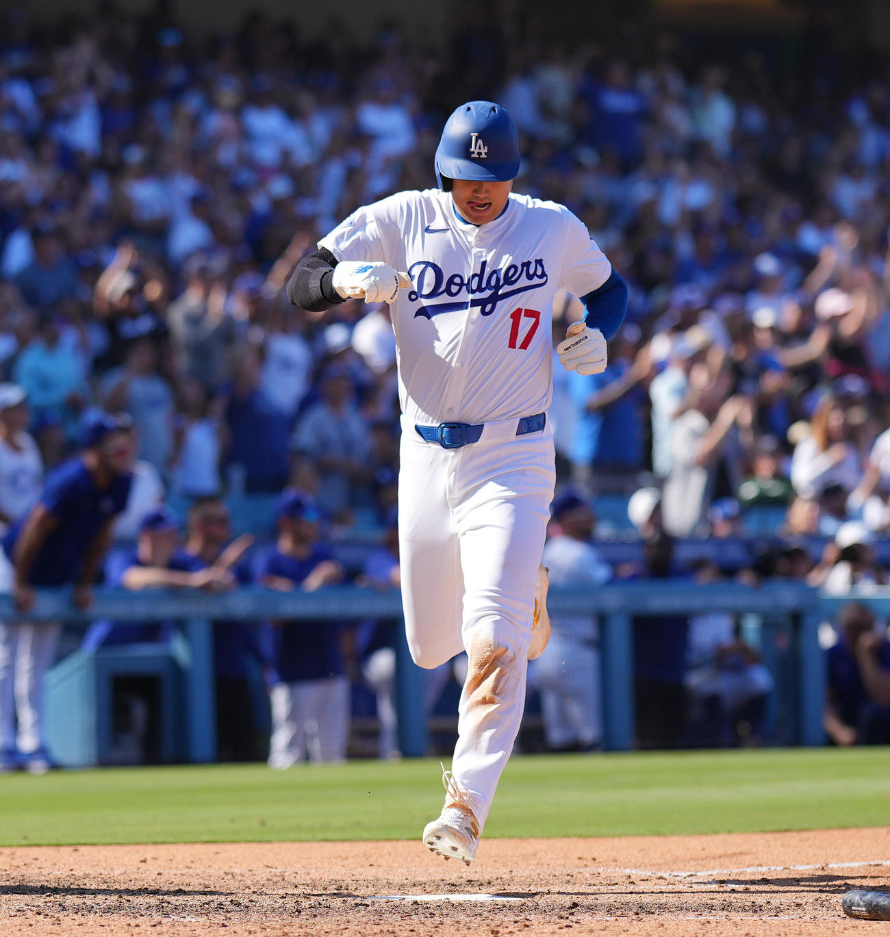 ドジャース対ロッキーズ　7回裏ドジャース2死二塁、フリーマンの適時打で二塁から生還し、今季127得点を達成させる大谷（撮影・菅敏）