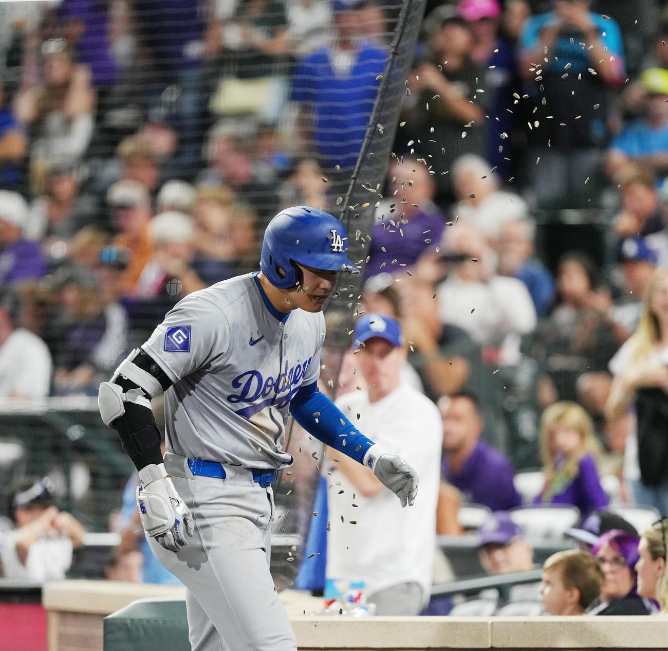 ロッキーズ対ドジャース　6回表ドジャース無死一、三塁、右越えに54号3点本塁打を放ち、ヒマワリの種を浴びる大谷（撮影・菅敏）