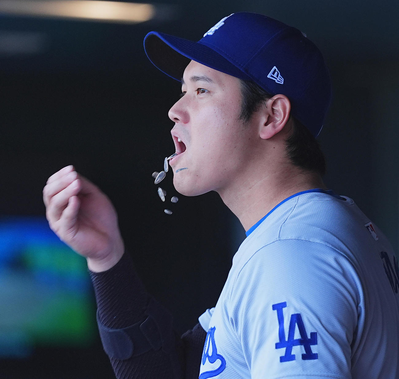 ロッキーズ対ドジャース　9回、ベンチでヒマワリの種をはおばる大谷（撮影・菅敏）