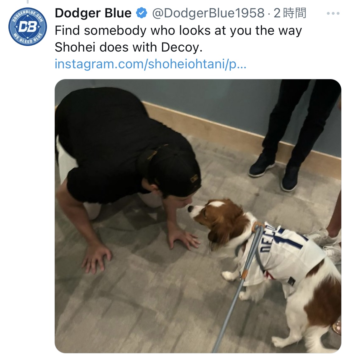 愛犬デコピンと同じ目線で会話？する大谷翔平（Dodger BlueのXから）