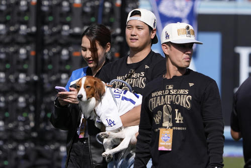 大谷翔平/ロサンゼルス・ドジャース/ワールドシリーズ優勝 大谷翔平/ロサンゼルス・ドジャース/ワールドシリーズ優勝