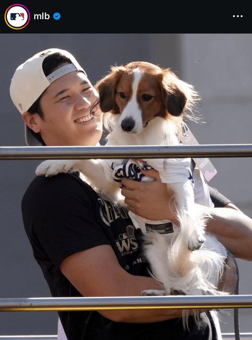 大谷翔平の愛犬デコピン、パレードの様子が話題に「王者の風格