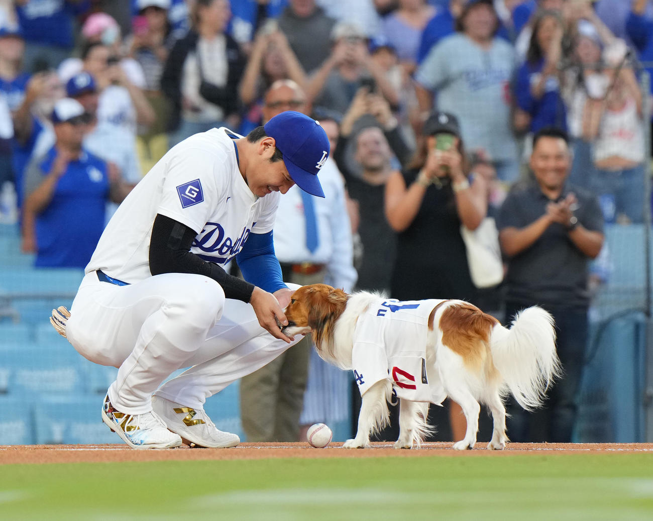 ドジャース対オリオールズ　始球式を務めた愛犬デコピンにご褒美をあげる大谷（撮影・菅敏）