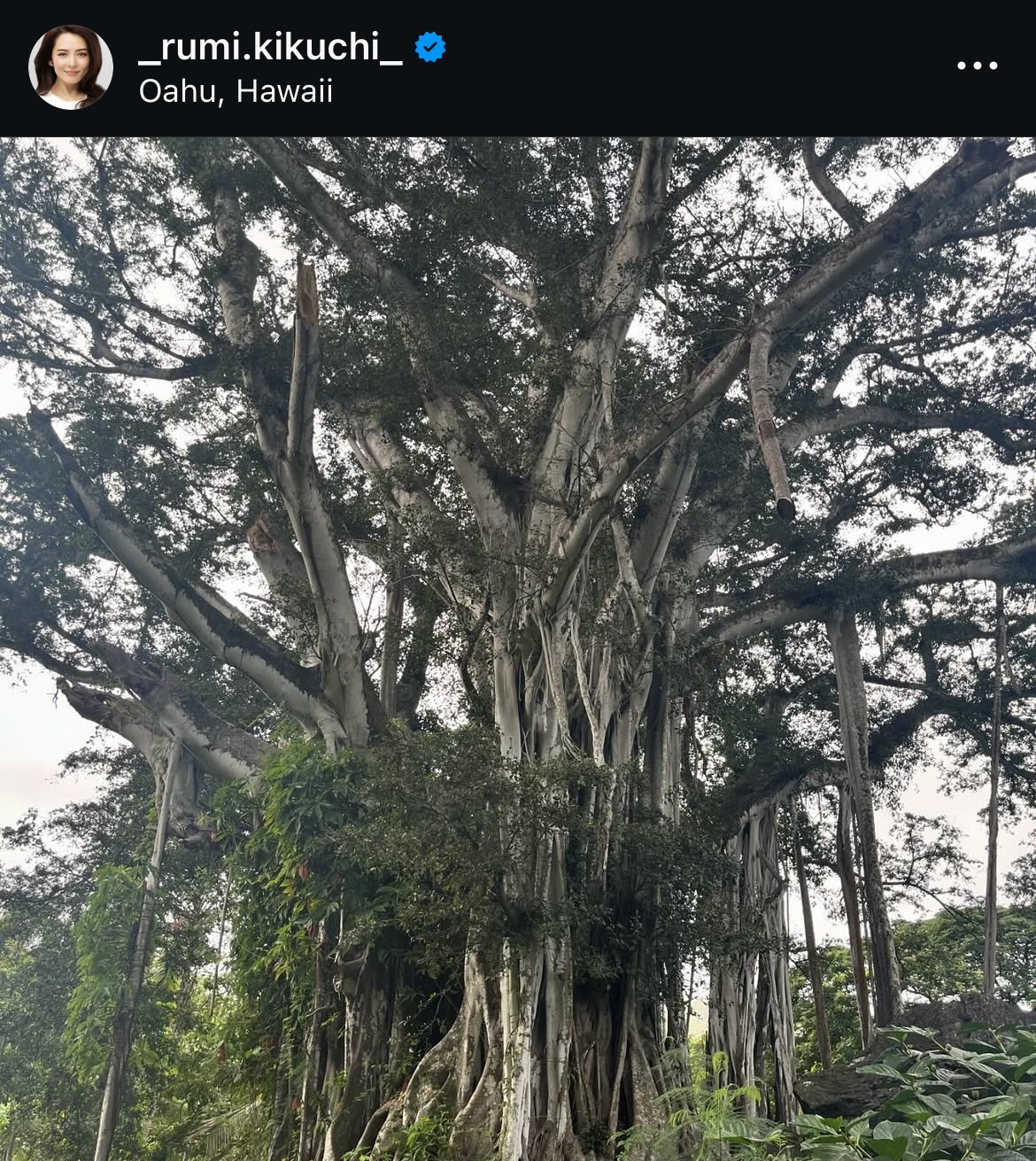 深津瑠美さんのインスタグラムから