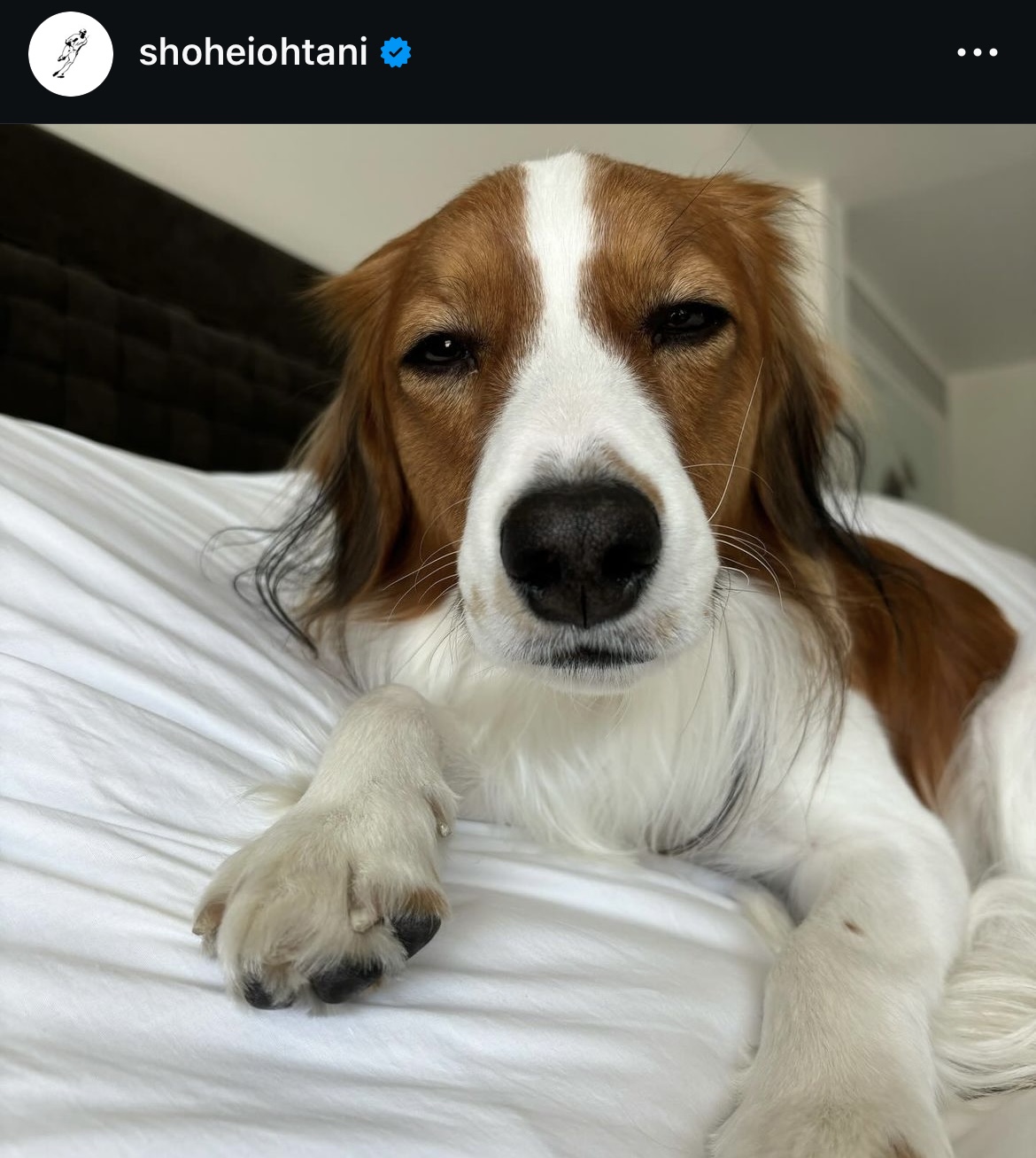 大谷翔平のインスタグラムから