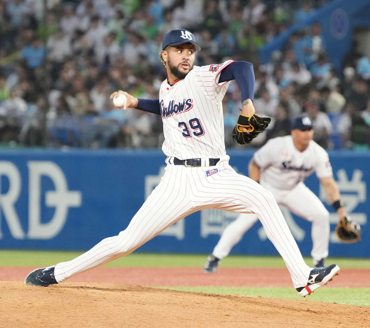 ヤクルト・エスパーダ（2024年6月撮影）