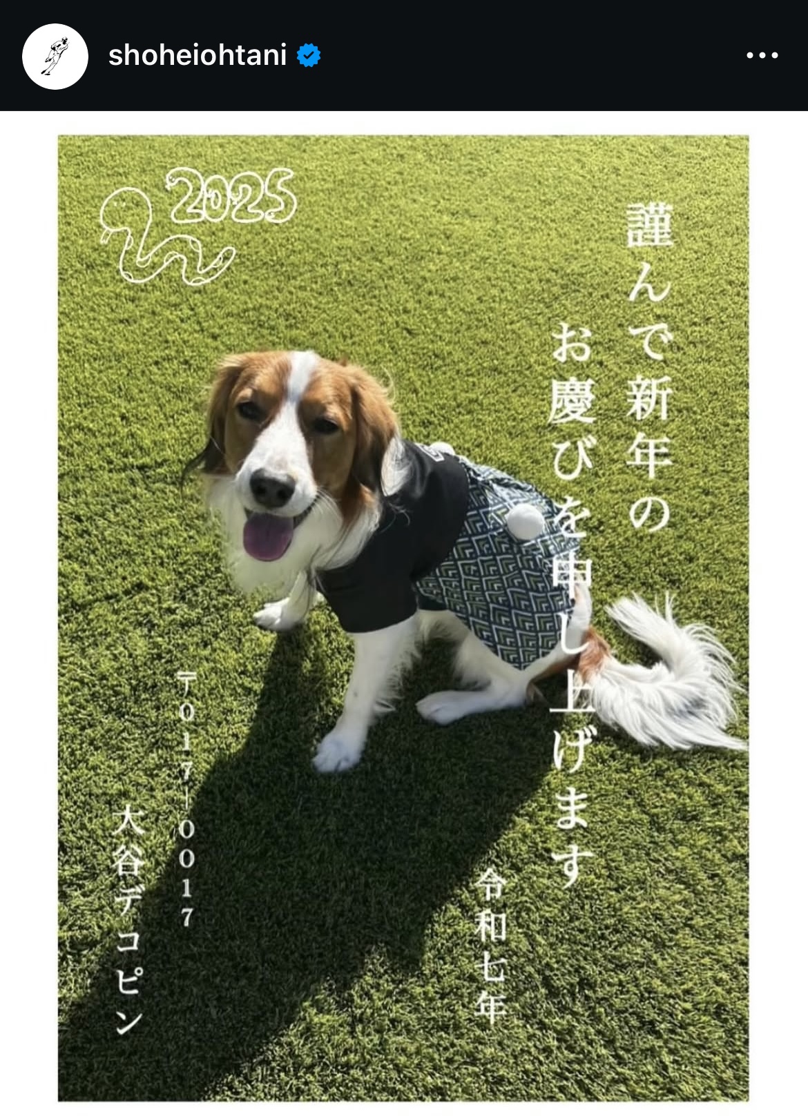 大谷翔平が公開した「デコピン年賀状」（大谷翔平インスタグラムから）