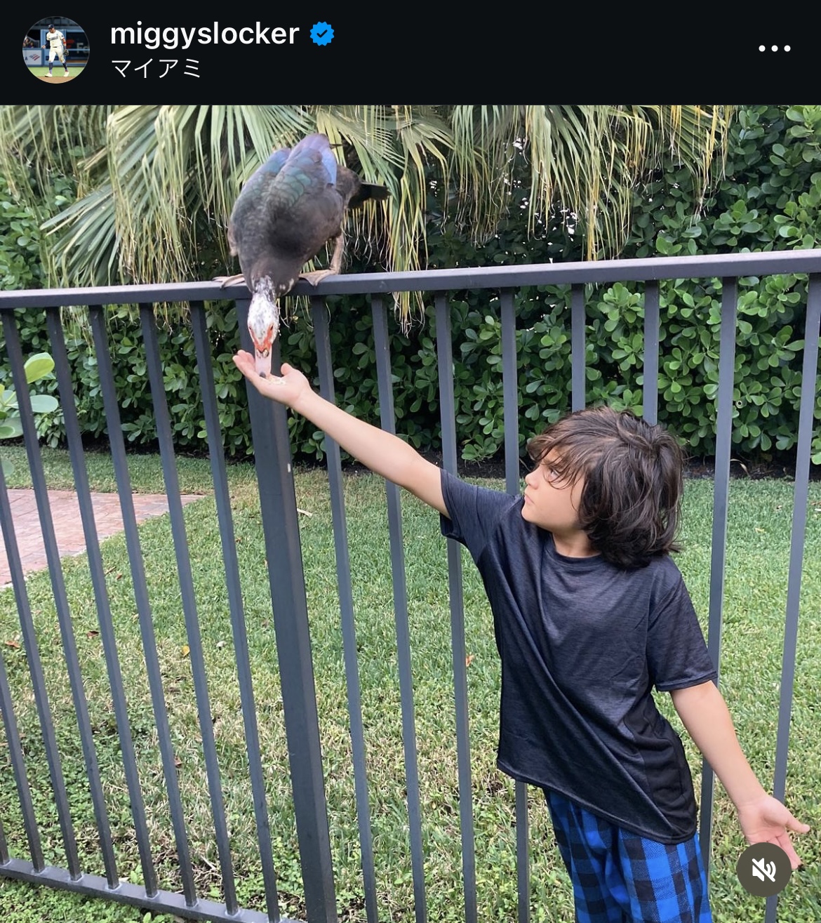 ロハスのインスタグラムから