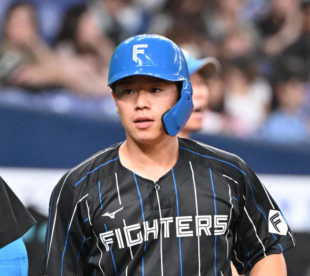 日本ハム梅林（2024年8月17日撮影）