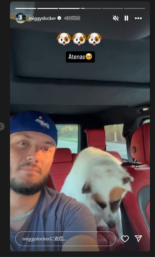 ロハスのインスタグラムから