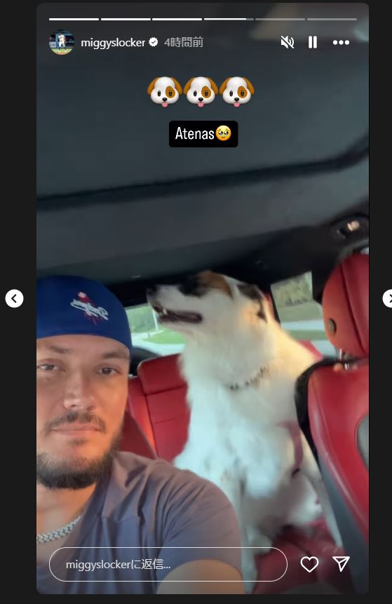 ロハスのインスタグラムから