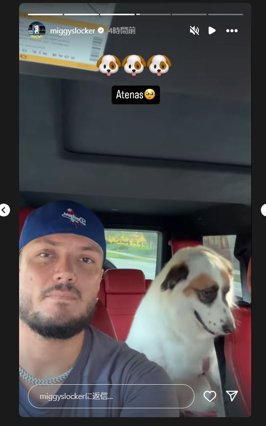 ロハスのインスタグラムから
