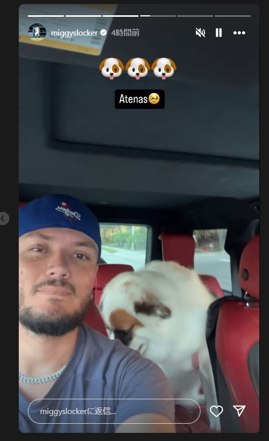 ロハスのインスタグラムから