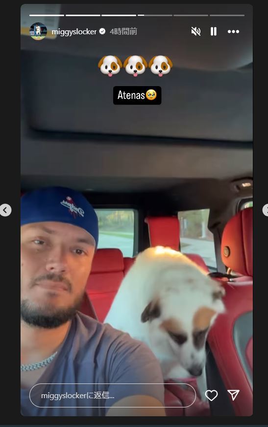 ロハスのインスタグラムから