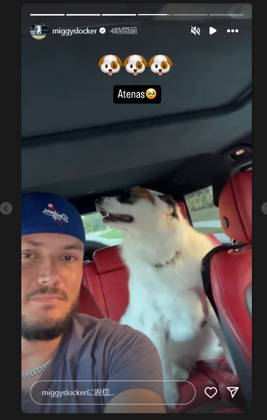 ロハスのインスタグラムから