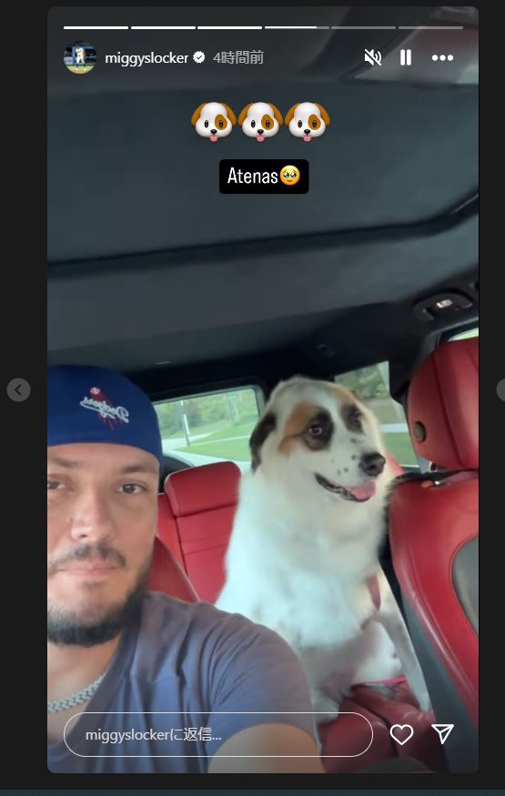 ロハスのインスタグラムから