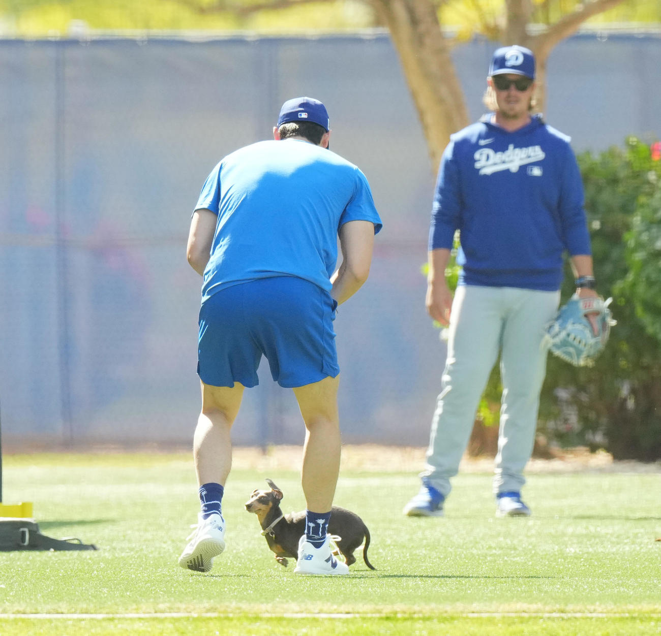 キャンプ地でキャッチボールをするドジャース大谷（手前）は、フィールドに登場したかわいいワンちゃんに歩み寄るも逃げられる（撮影・菅敏）